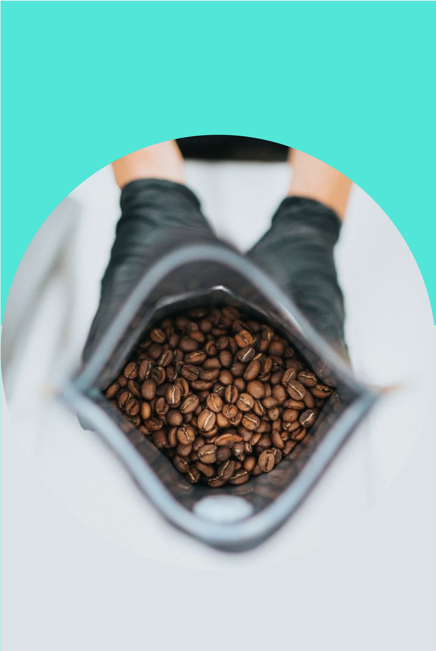 Castillo Honey Café en grano 250g